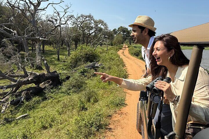 Yala National Park Best Half Day Safari By Ceylon Leopard Safari