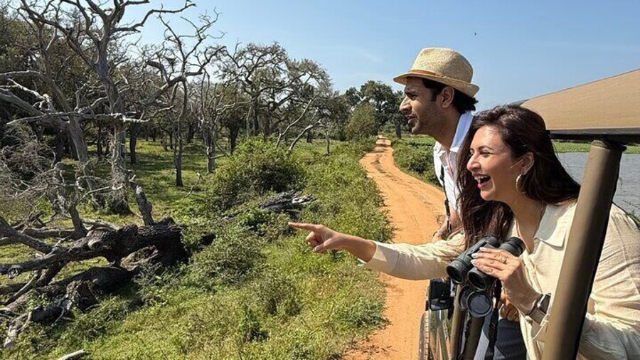 Yala National Park Best Half Day Safari By Ceylon Leopard Safari