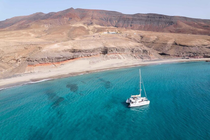 Picture 8 for Activity Fuerteventura: Small-Group Magic Deluxe Catamaran Cruise