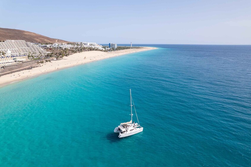 Picture 4 for Activity Fuerteventura: Small-Group Magic Deluxe Catamaran Cruise