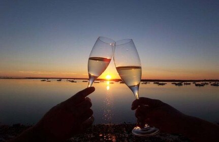 Les couleurs de Ria Formosa : promenade en bateau au coucher du soleil à Fa...