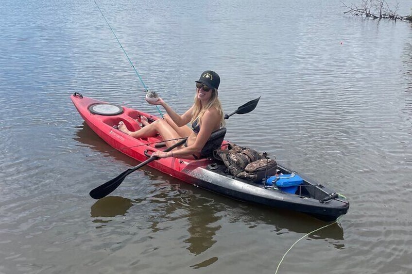 Kayak/paddle board rentals and guide services 