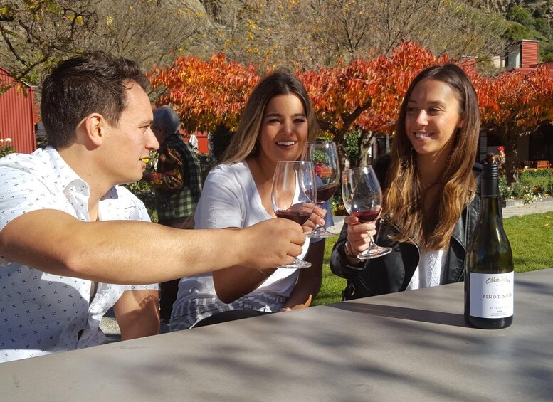 Picture 2 for Activity Queenstown: Afternoon Wine Tasting Tour with 3 Wineries