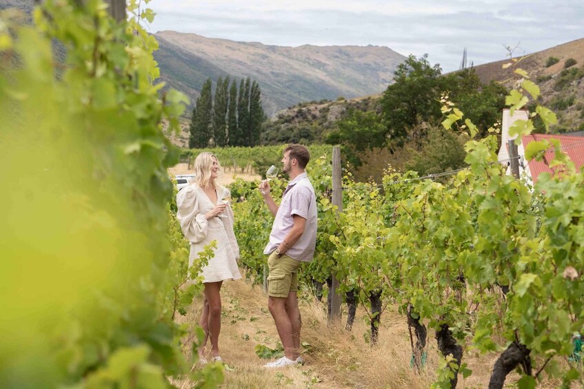 Picture 3 for Activity Queenstown: Afternoon Wine Tasting Tour with 3 Wineries