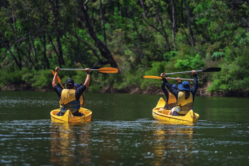 Picture 3 for Activity Dwellingup: Paddle 'n' Picnic Self-Guided Tour