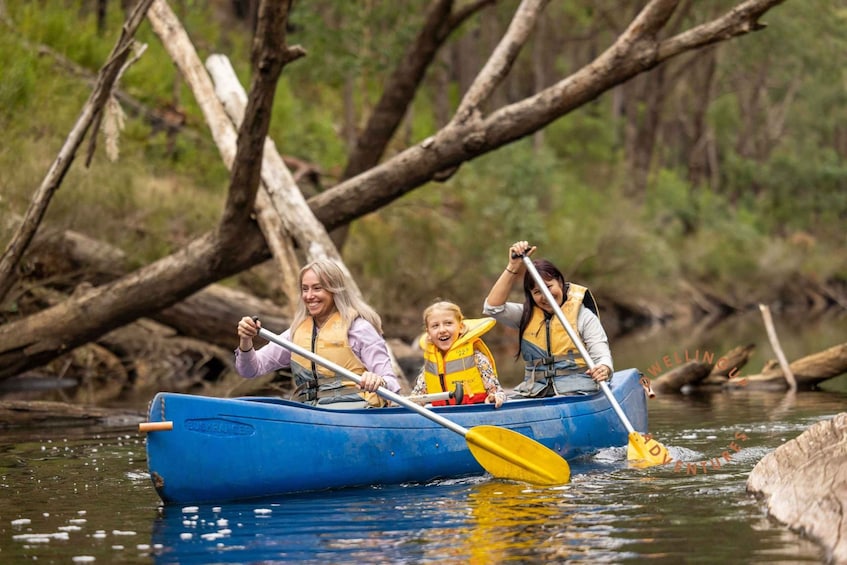 Picture 1 for Activity Dwellingup: Paddle 'n' Picnic Self-Guided Tour