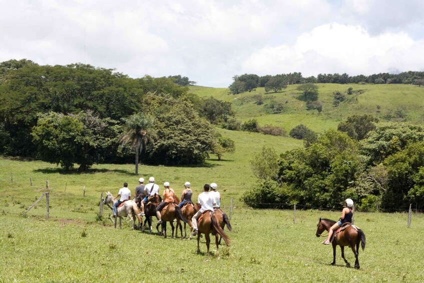 Picture 1 for Activity One Day Adventure Pass at Vida Aventura Nature Park