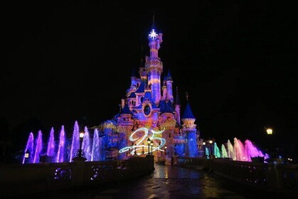 Private Disneyland Trip with Valle Village and Indian Dinner
