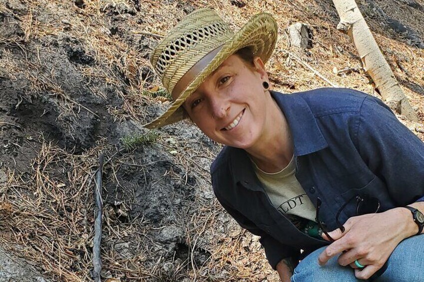 Private Rocky Mountain Foraging Experience