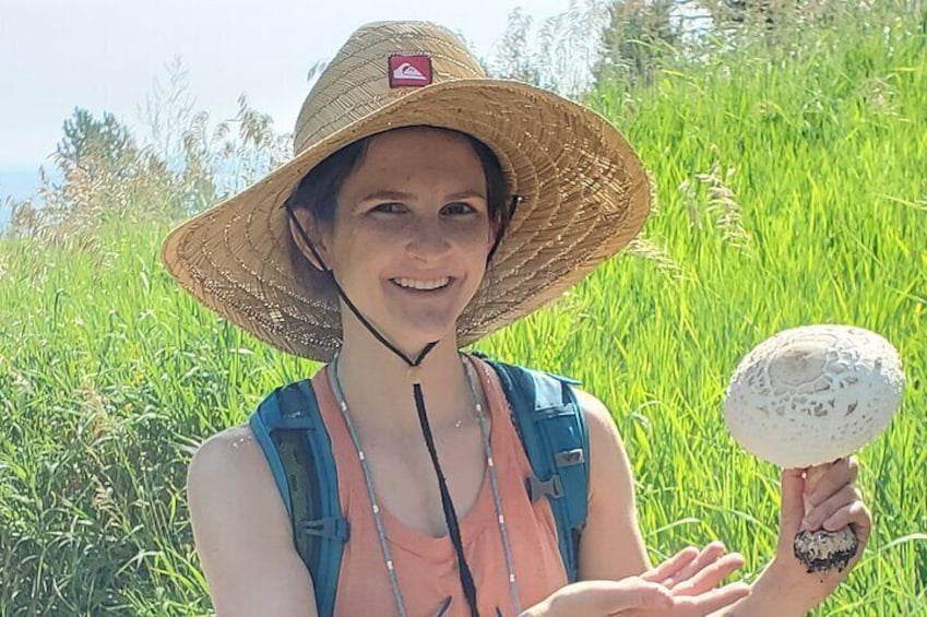 Private Rocky Mountain Foraging Experience