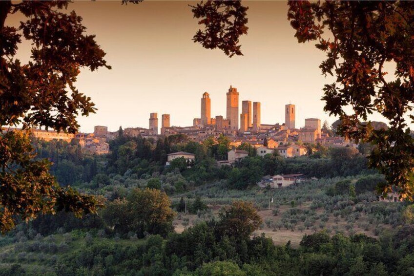 Private Day Tour from Florence to Pisa Siena and San Gimignano