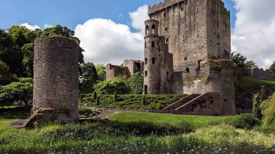 Easy Access Blarney Stone and Castle Gardens Tour
