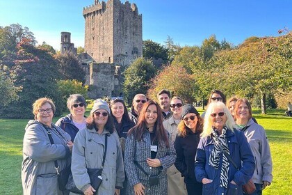 Easy Access Blarney Stone and Castle Gardens Tour