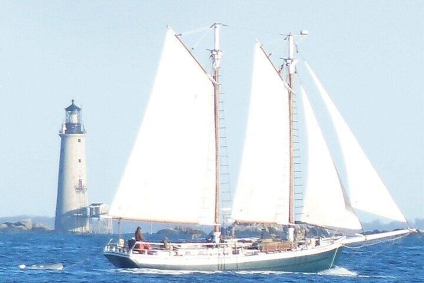 Classic Tall Ship Sightseeing Cruise of Boston Harbor