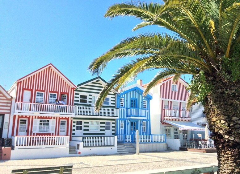 Picture 4 for Activity From Lisbon: Aveiro, Moliceiro Boat and Coimbra Tour