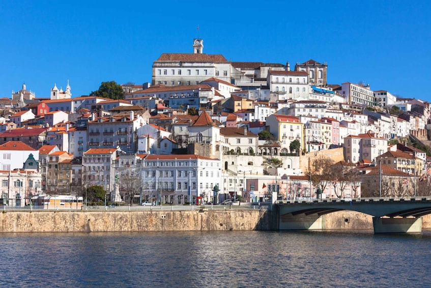 Picture 6 for Activity From Lisbon: Aveiro, Moliceiro Boat and Coimbra Tour