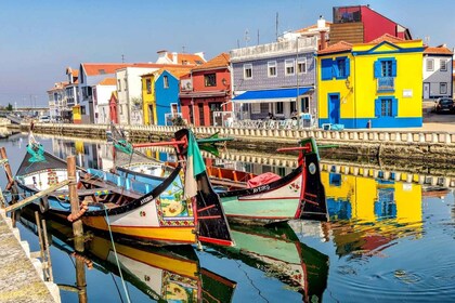 Desde Lisboa: Aveiro, Barco de Moliceiro y Excursión a Coimbra