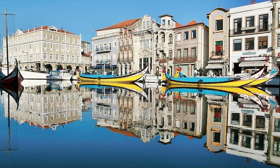 Picture 2 for Activity From Lisbon: Aveiro, Moliceiro Boat and Coimbra Tour