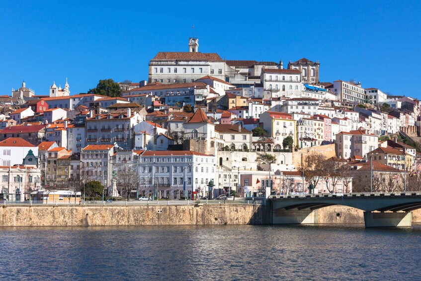 Picture 6 for Activity From Lisbon: Aveiro, Moliceiro Boat and Coimbra Tour