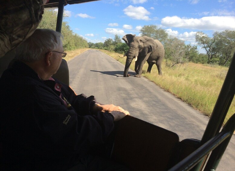 Picture 16 for Activity Full-Day Private Big 5 Safari in Kruger National Park