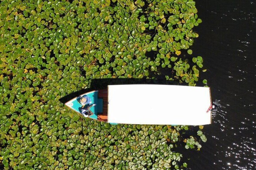 Explore Skadar Lake in Private 2 hour Boat Cruise