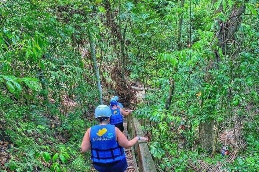 Damajagua Waterfalls Adventure from Amber Cove and Taíno Bay 