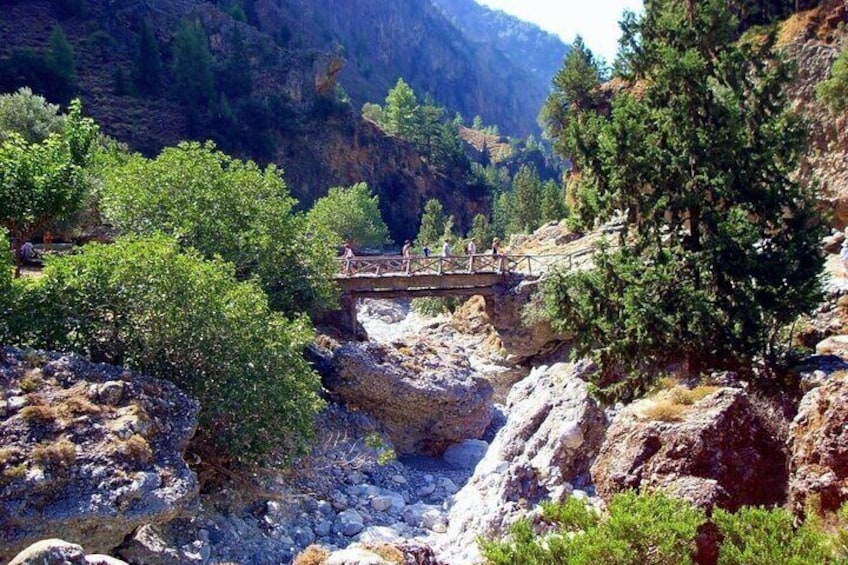 Full Day Tour Samaria Gorge From Chania