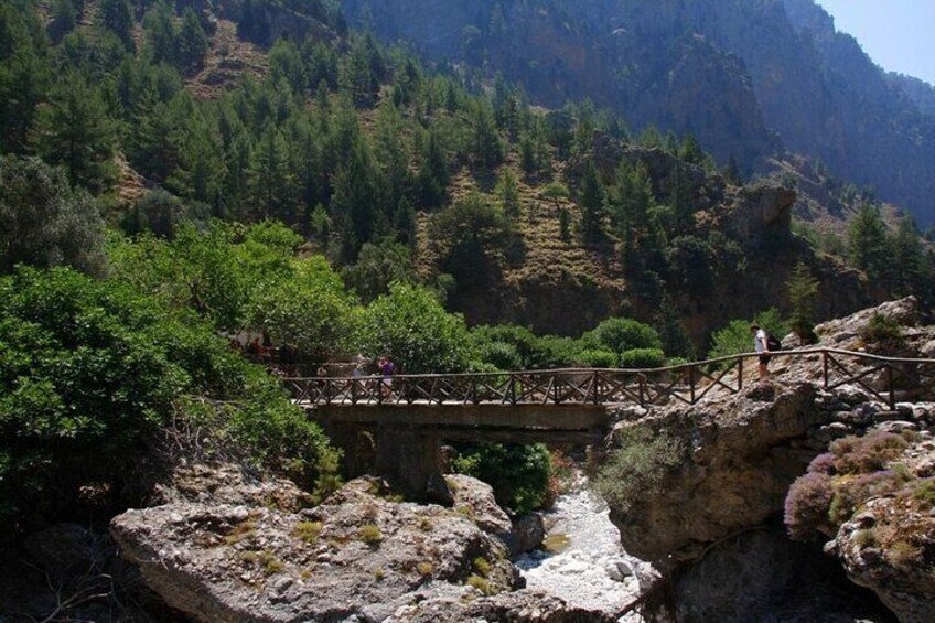 Full Day Tour Samaria Gorge From Chania