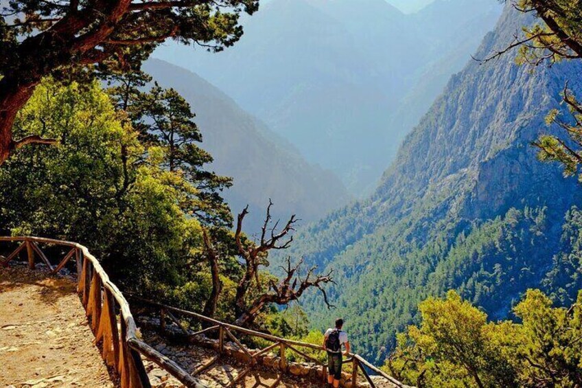 Full Day Tour Samaria Gorge From Chania