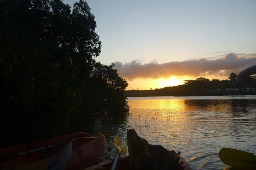 Sunrise Brunswick River Kayak Activity