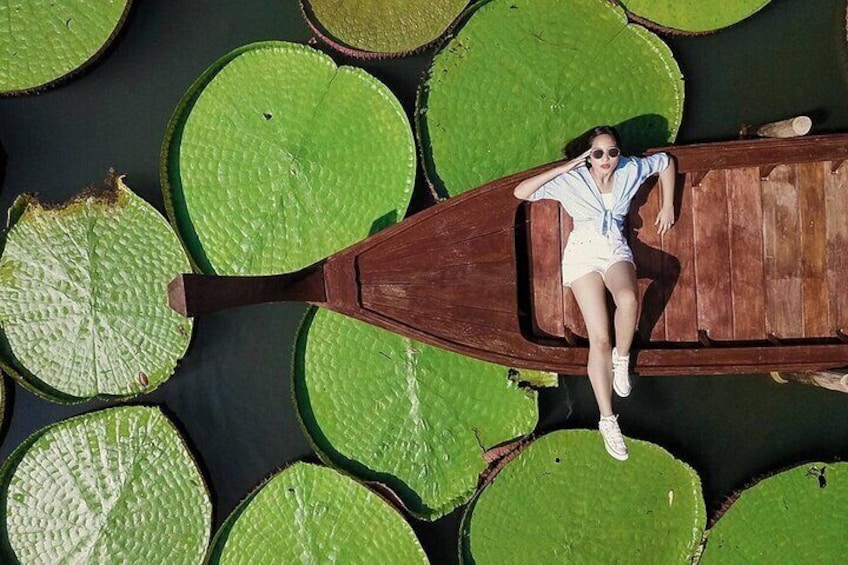 All Inclusive Private Phuket Giant Water Lilies and Temple Tour