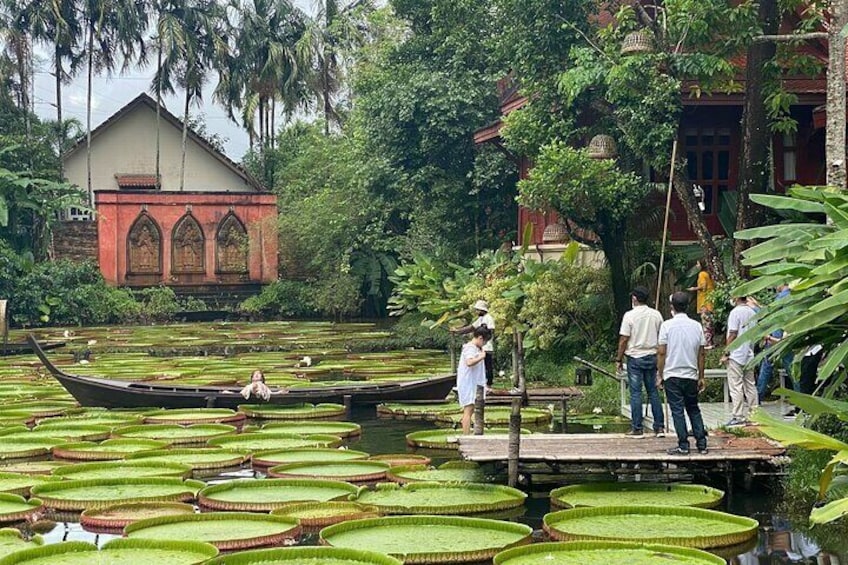 All Inclusive Private Phuket Giant Water Lilies and Temple Tour