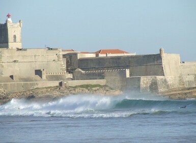 Lisbonne : leçon de surf d'une heure et demie