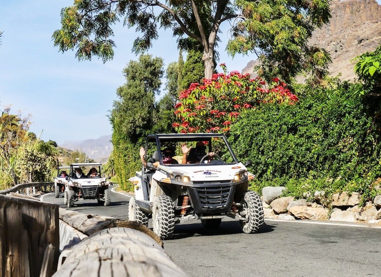 Picture 4 for Activity Gran Canaria Guided Buggy Tour