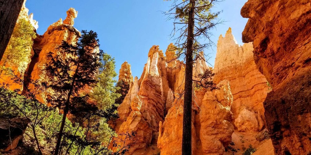 Picture 1 for Activity Bryce Canyon National Park Hiking Experience