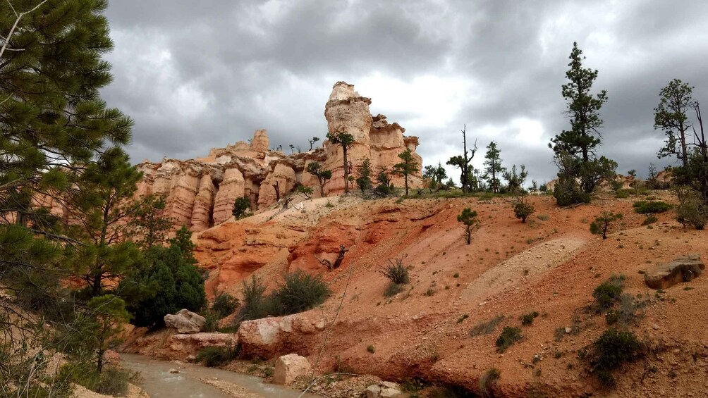 Picture 3 for Activity Bryce Canyon National Park Hiking Experience
