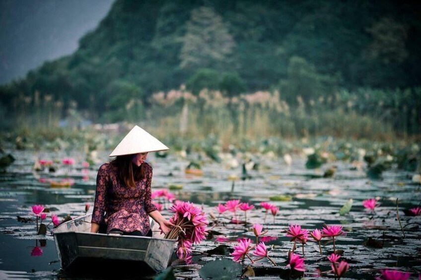 Perfume Pagoda Full-Day Guided Tour from Hanoi - All Inclusive