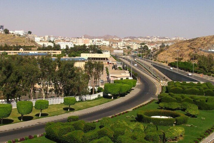 Taif City Private Tour