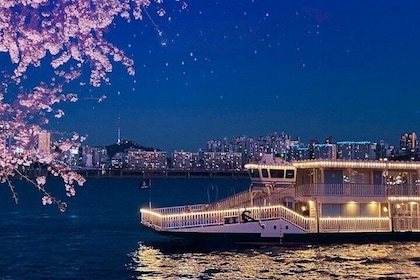 Seúl: crucero nocturno guiado por el río Han y pícnic en el parque Hangang