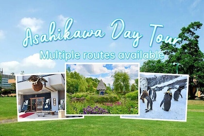 Japan Hokkaido Asahikawa Private Tour（Depart from Sapporo）