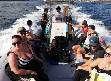 Caprera: Excursión privada en barco con paradas para hacer snorkel y aperit...