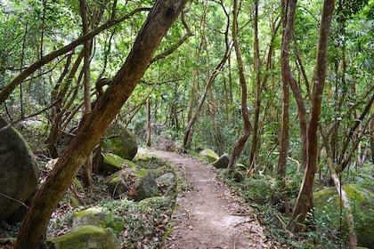 Private nature trail/hiking (1-4 persons)