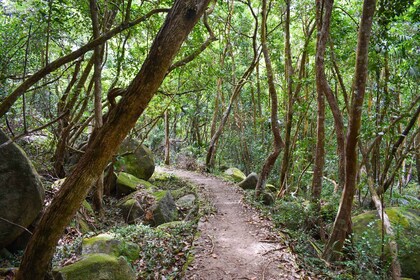 Privé natuurpad/wandeling (1-4 personen)