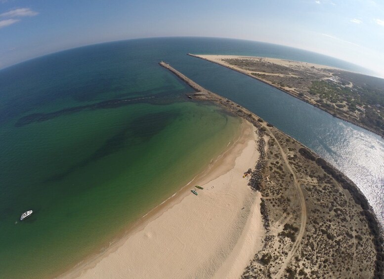 Picture 3 for Activity From Cabanas de Tavira: Octopus Route