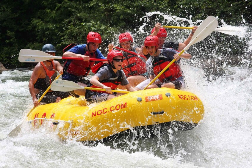 Picture 2 for Activity Ocoee River: Middle Ocoee Guided Rafting Tour