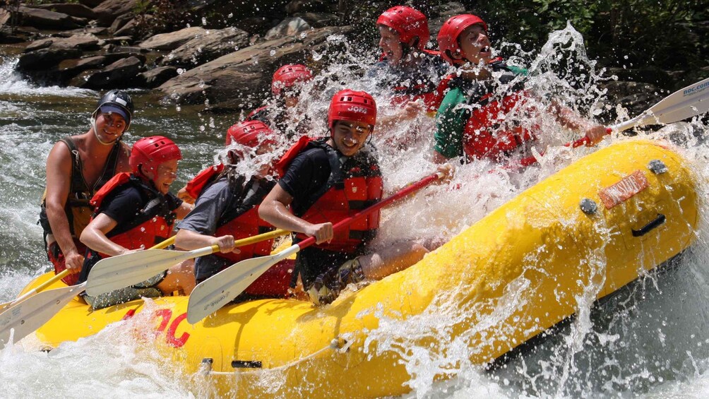 Ocoee River: Middle Ocoee Guided Rafting Tour