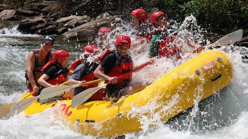 Ocoee River: Geführte Rafting-Tour auf dem Middle Ocoee