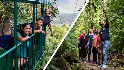 Saint Lucia: Tramtour door de lucht bij Rainforest Adventures