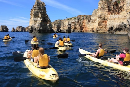 Depuis Lagos : Côte de l'Algarve et grottes en kayak