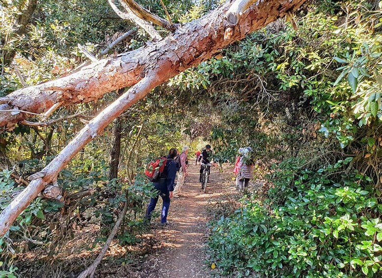 Picture 4 for Activity Ancona Riviera del Conero: Hiking Tour